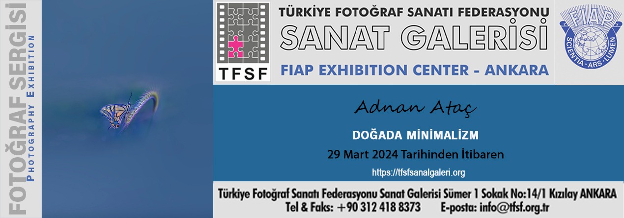 Doğada Minimalizm