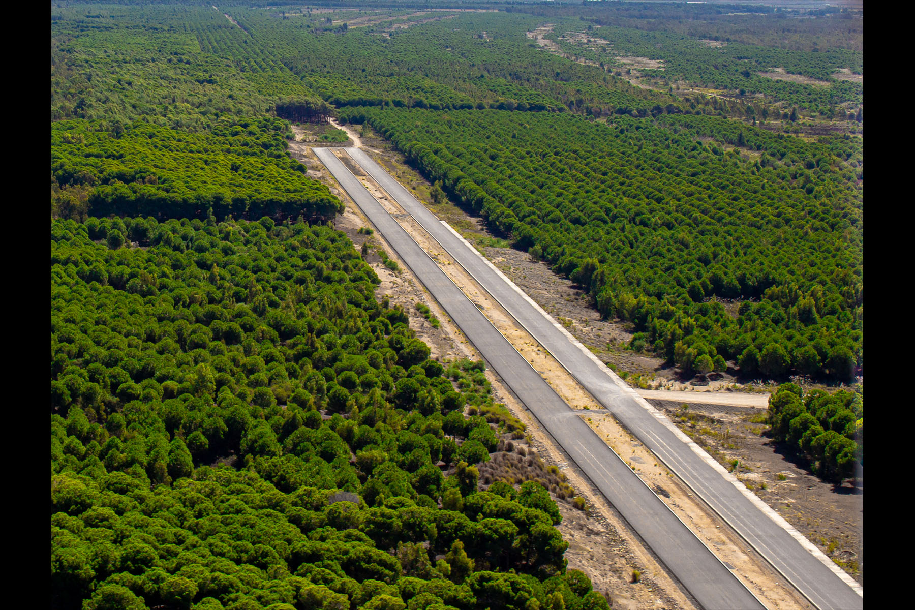 Doğaya Uzanan Yol