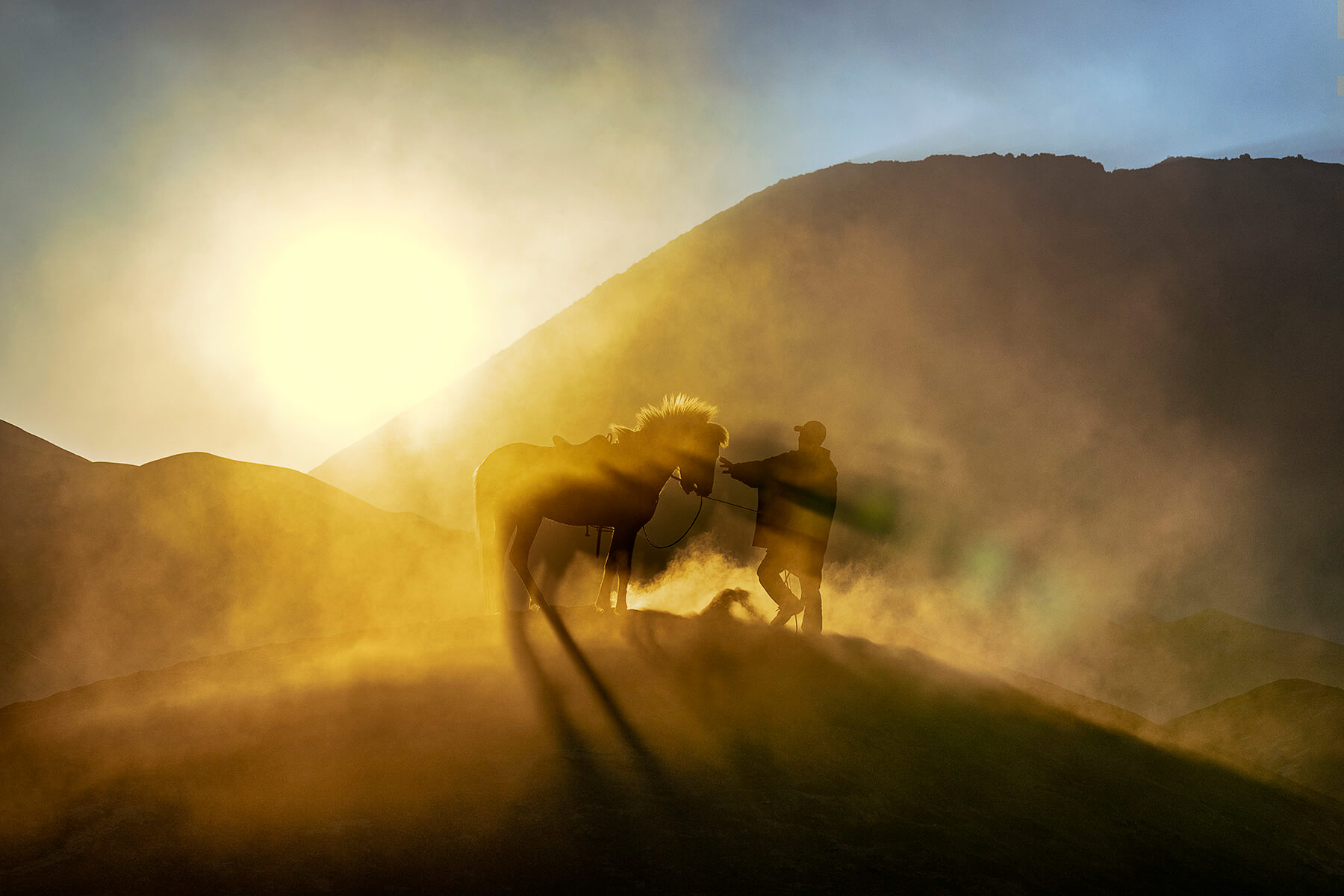Dusty horse at Mt Bromo