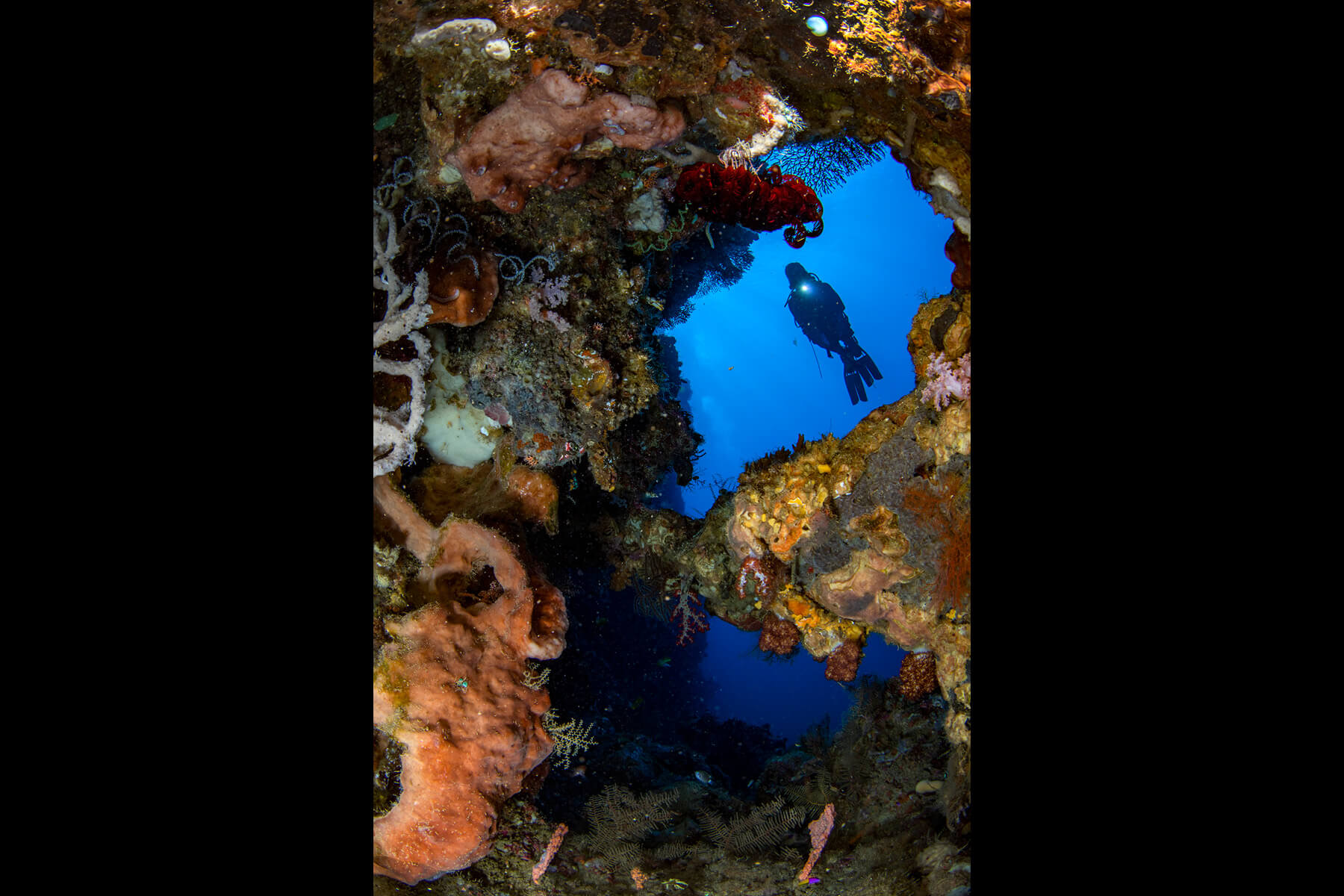 Underwater in Pohuwato-Sulawesi Island