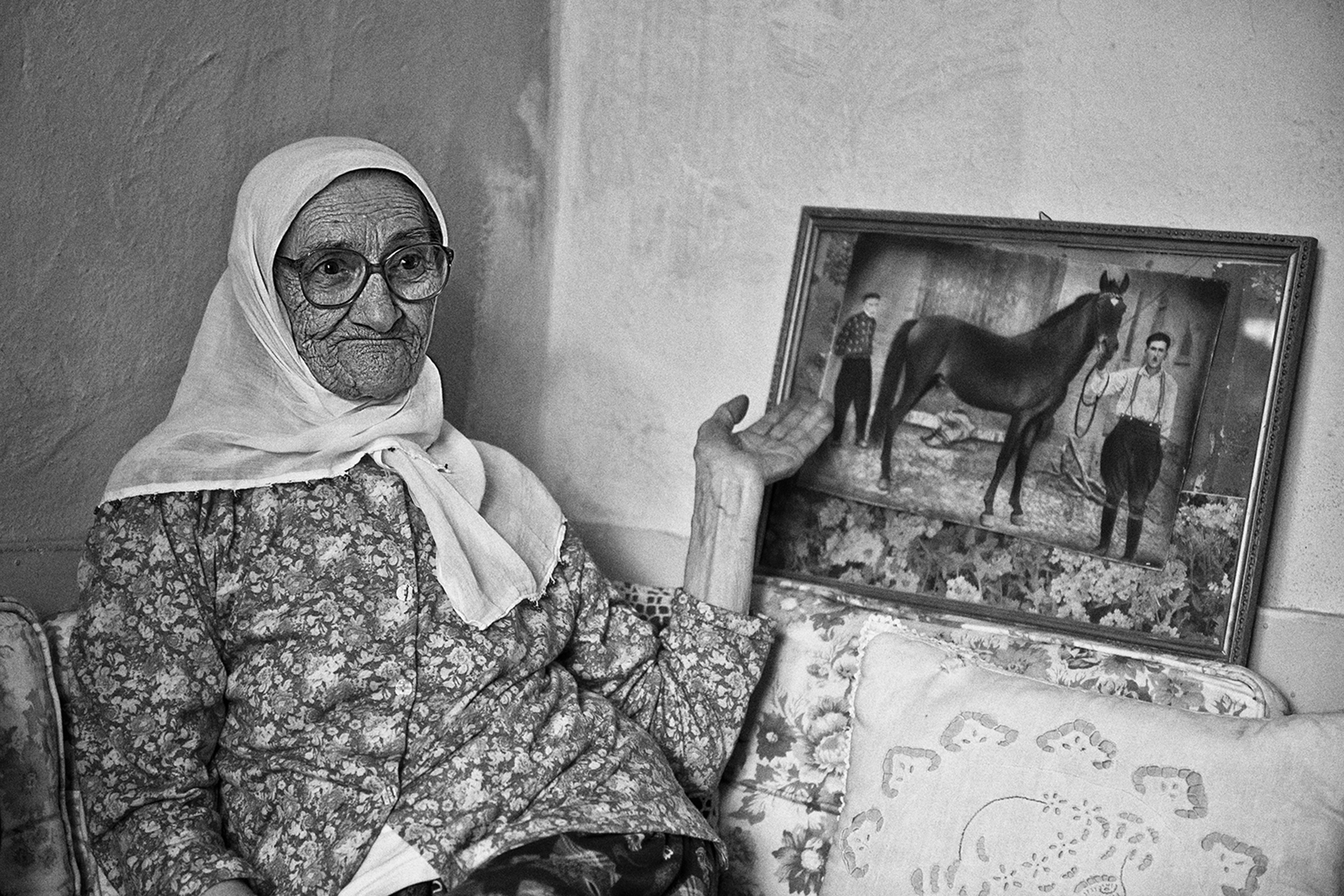 Asırlık Çınarlar 3
