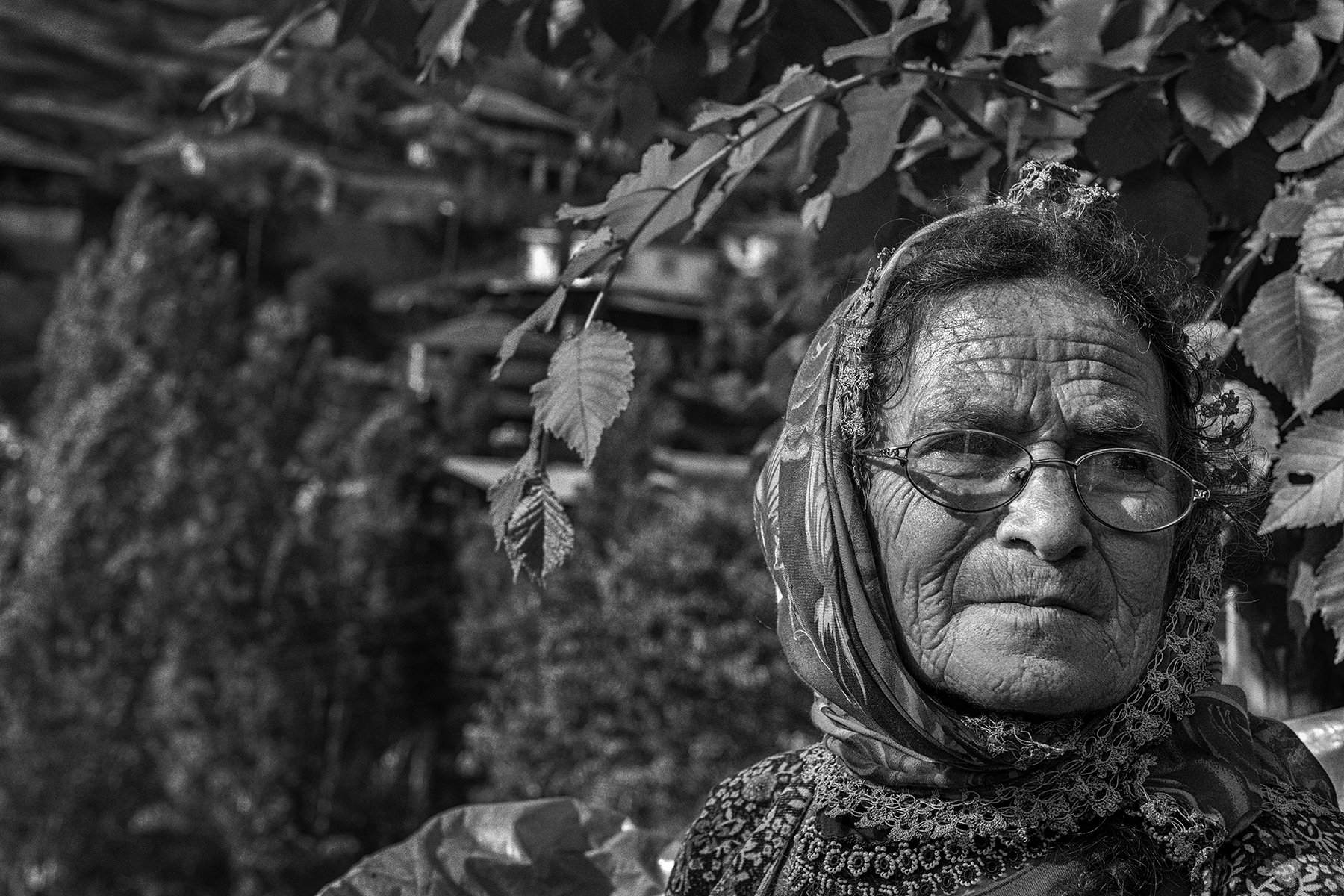 Kıl Çadırcılar 3