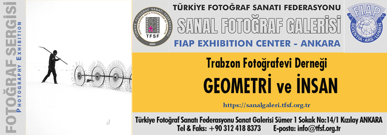 Geometri ve İnsan