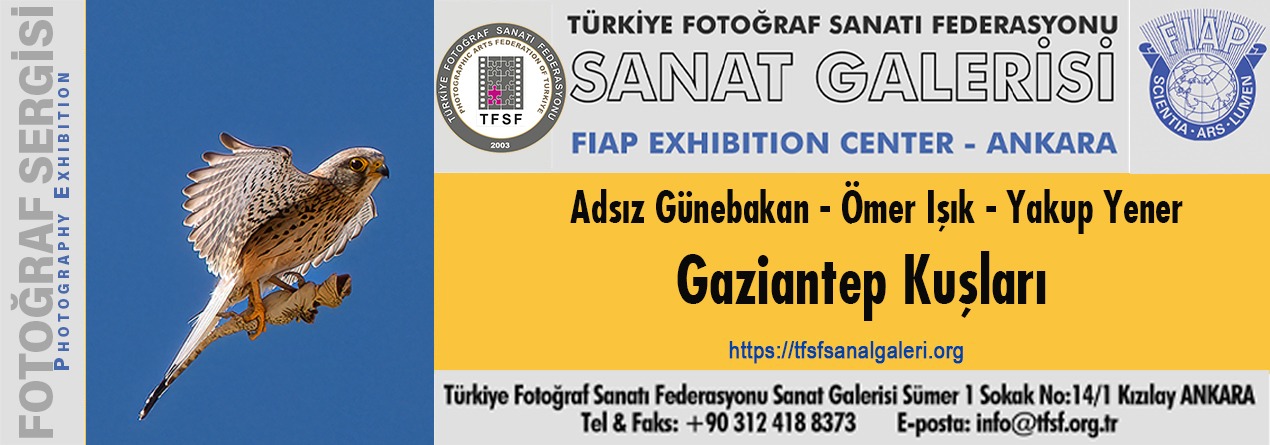 Gaziantep Kuşları