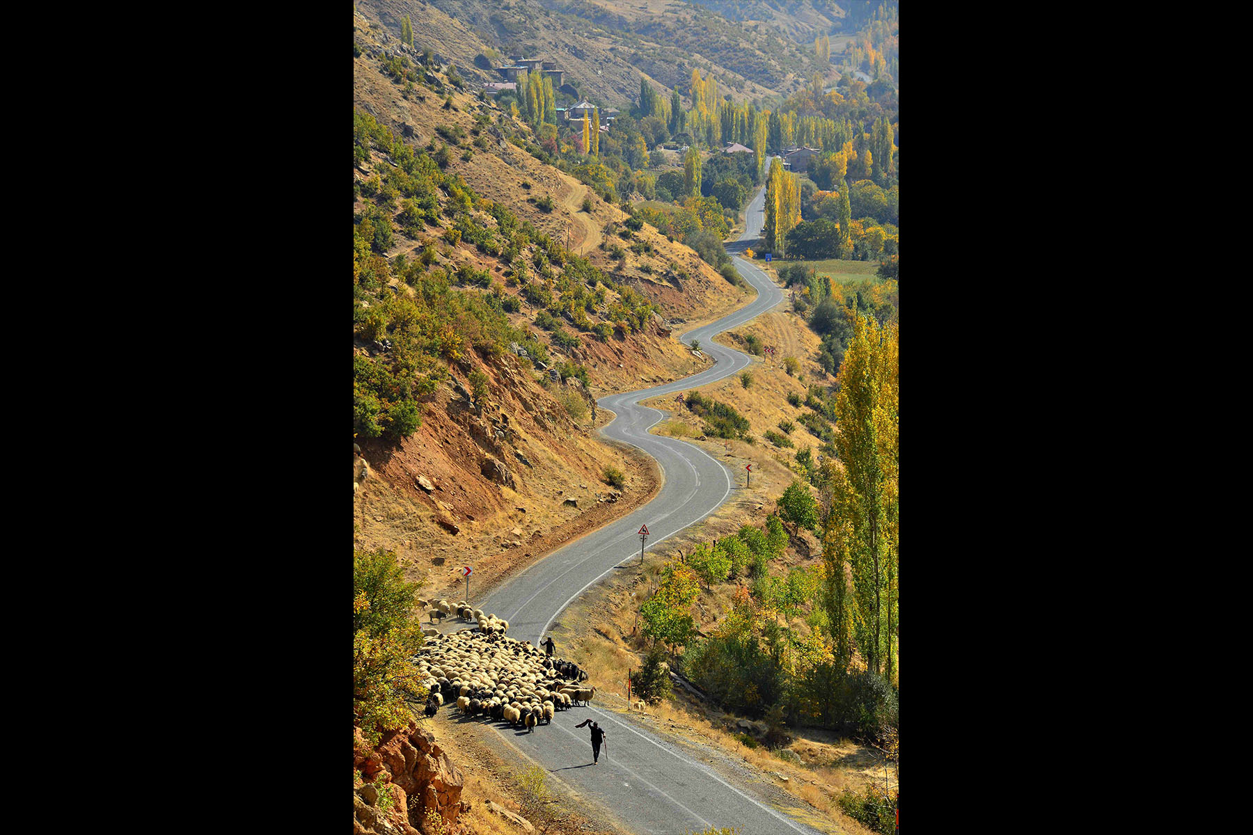 2-Anadolu'nun Renkleri-5