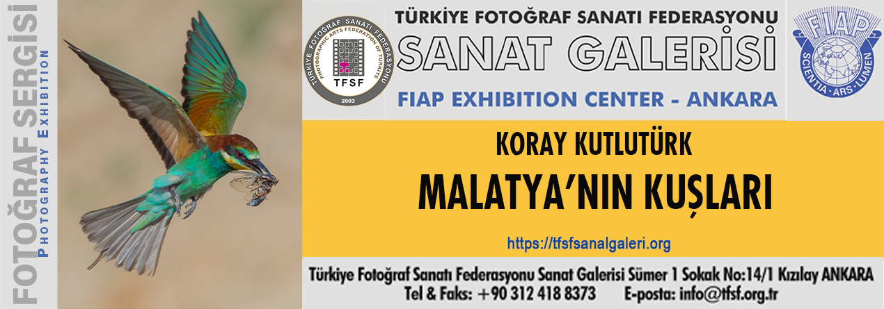 Malatya'nın Kuşları