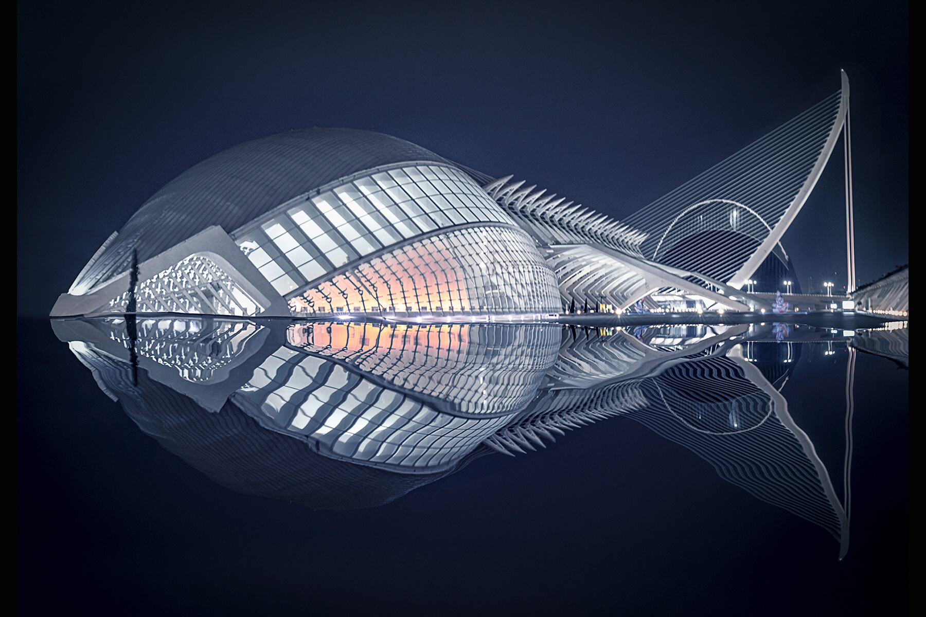 Architecture - Fish