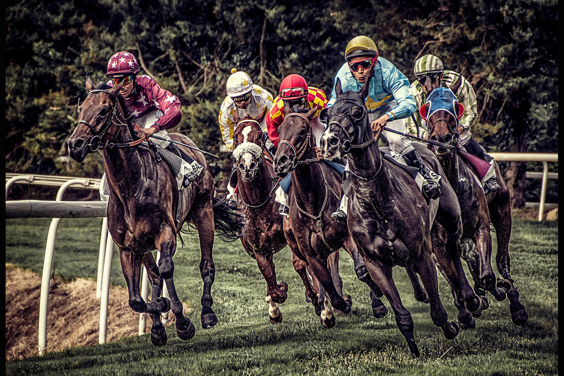 Sports - Course De Chevaux