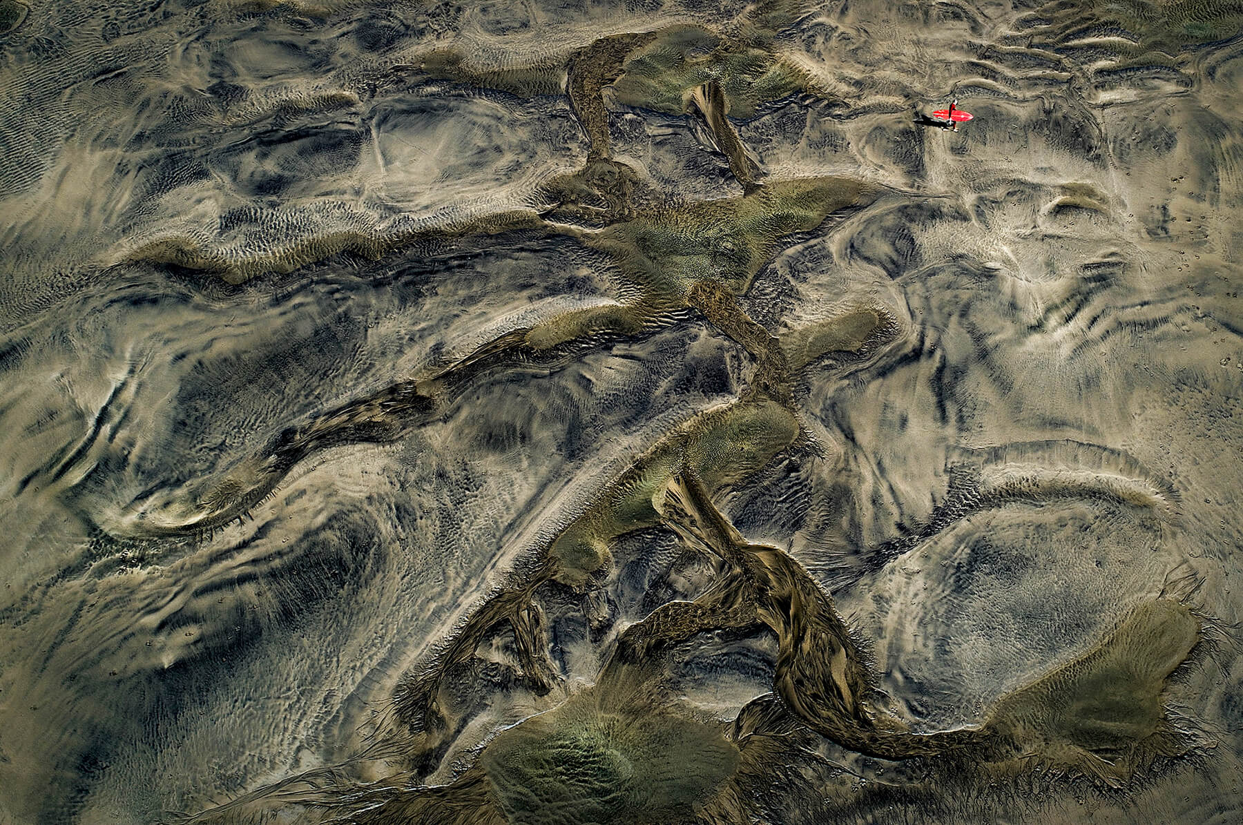 Travel - Looking For The Waves Between Dinosaurs
