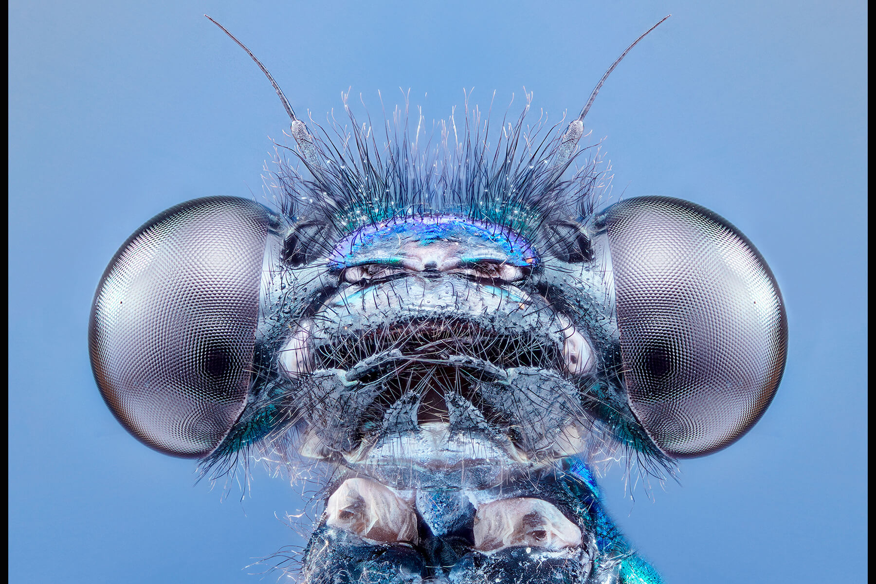 Macro - Dj Galactic