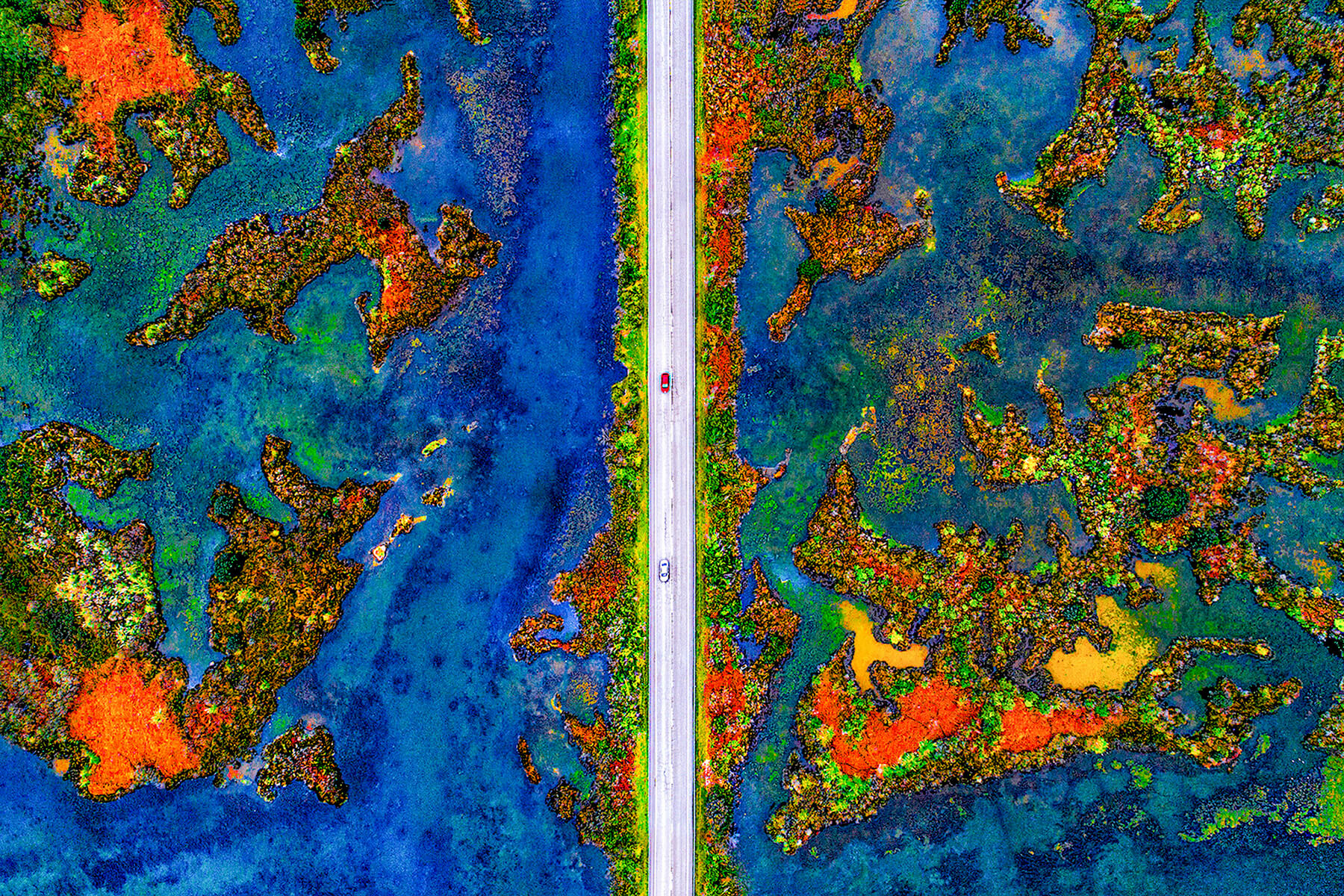 Travel - Urban Wetland