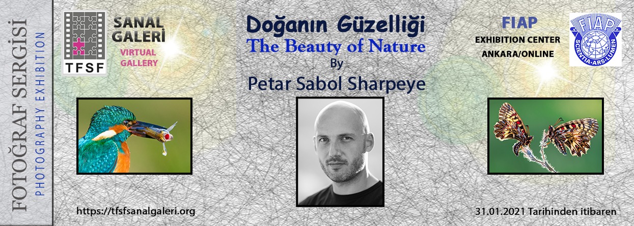 Doğanın Güzelliği