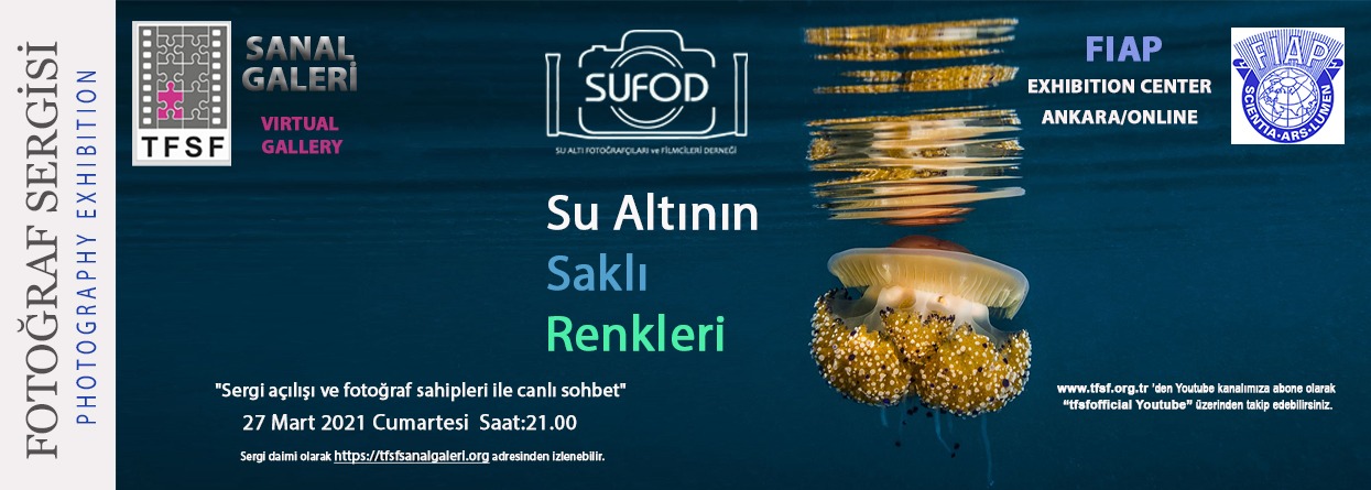 Su Altının Saklı Renkleri