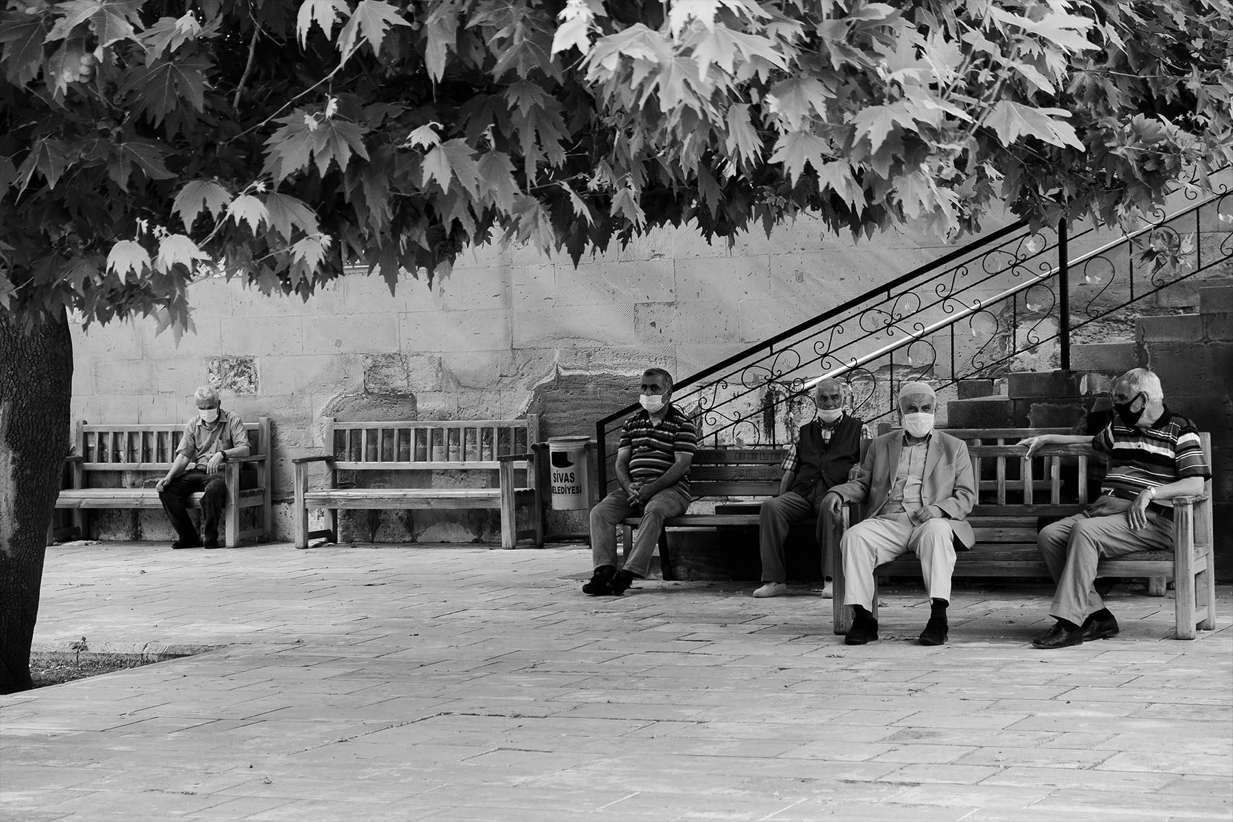 Çınar Altı